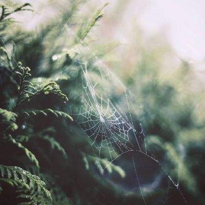 半岛·综合体育下载手机版